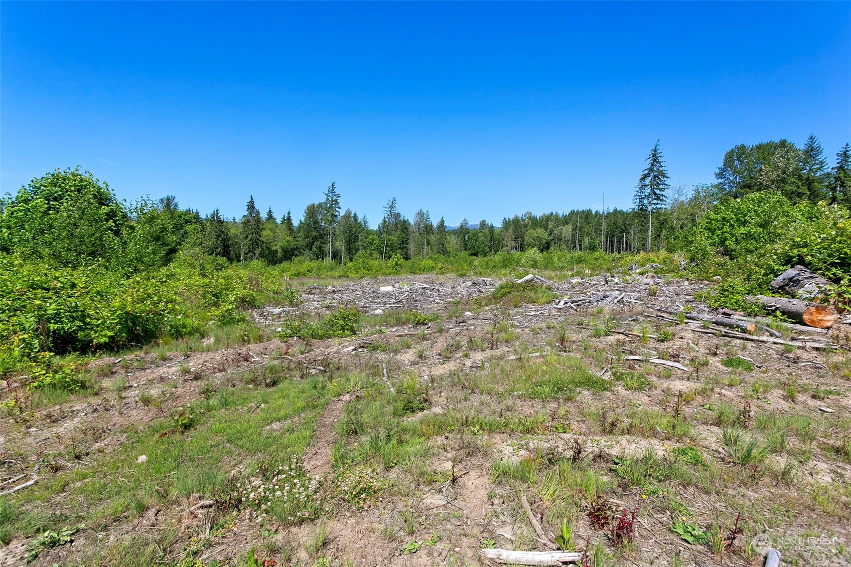 -174xx Pilchuck Tree Farm Road Snohomish, WA 98290 - Photo 9 of 12 Gallery Image 9