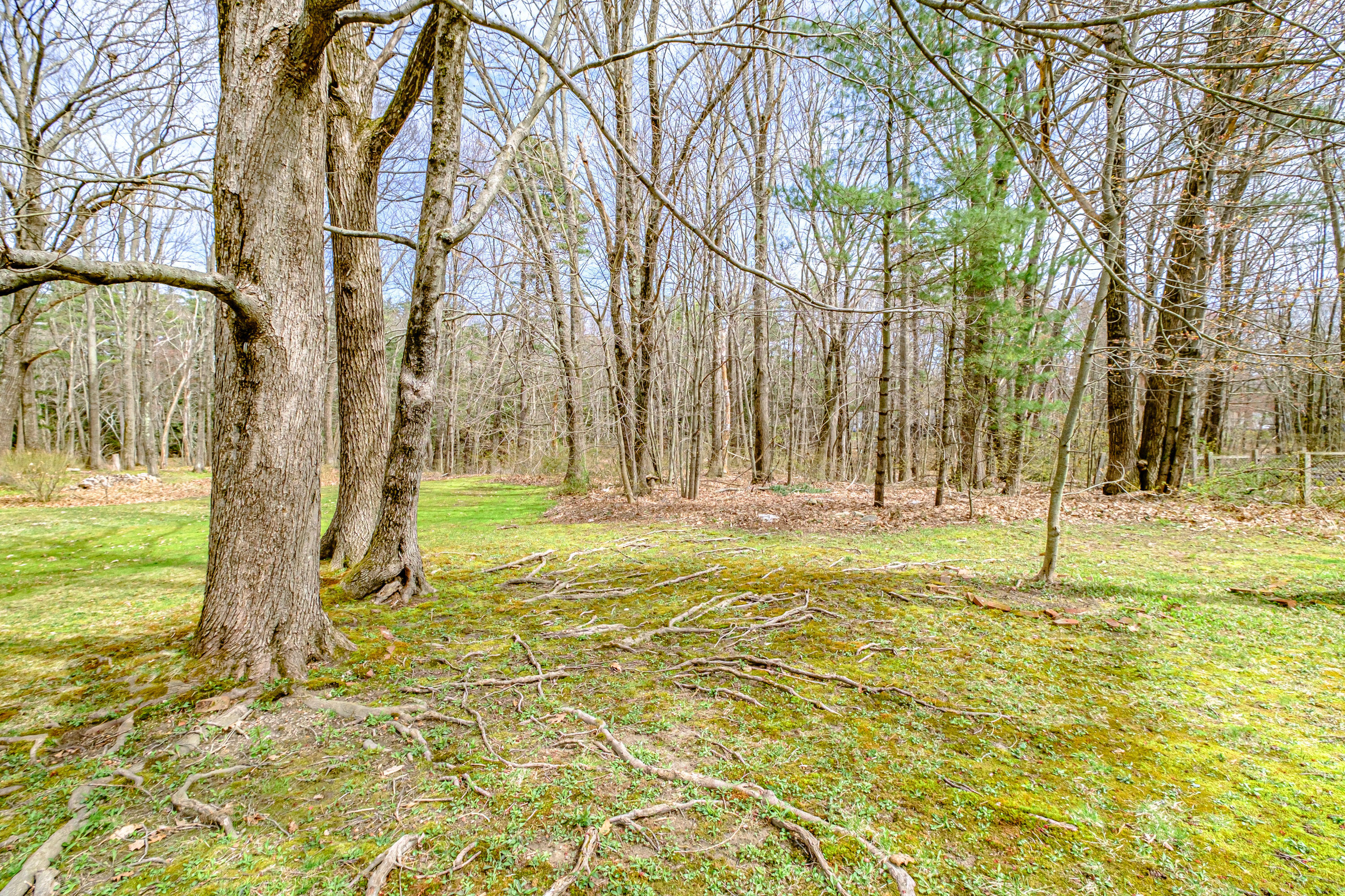 125 Pinecrest Road Portland, ME 04102 - Photo 35 of 35 Wooded Backyard