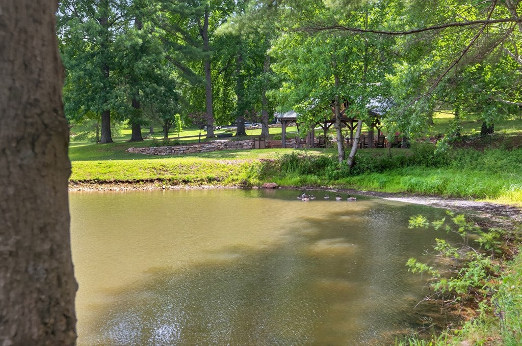 1955 Joy Ranch Road Woodlawn, VA 24381 - Photo 9 of 85 Gallery Image 9