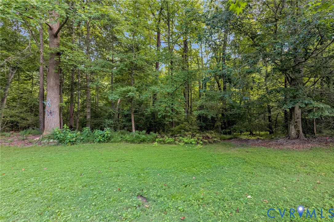3841 Strawhill Road Richmond, VA 23231 - Photo 42 of 56 Expansive lawn area bordered by a dense canopy of
