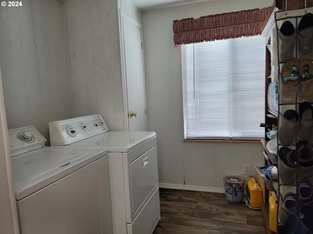 a view of a garden with a tree