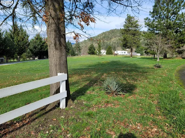a view of a park with large trees