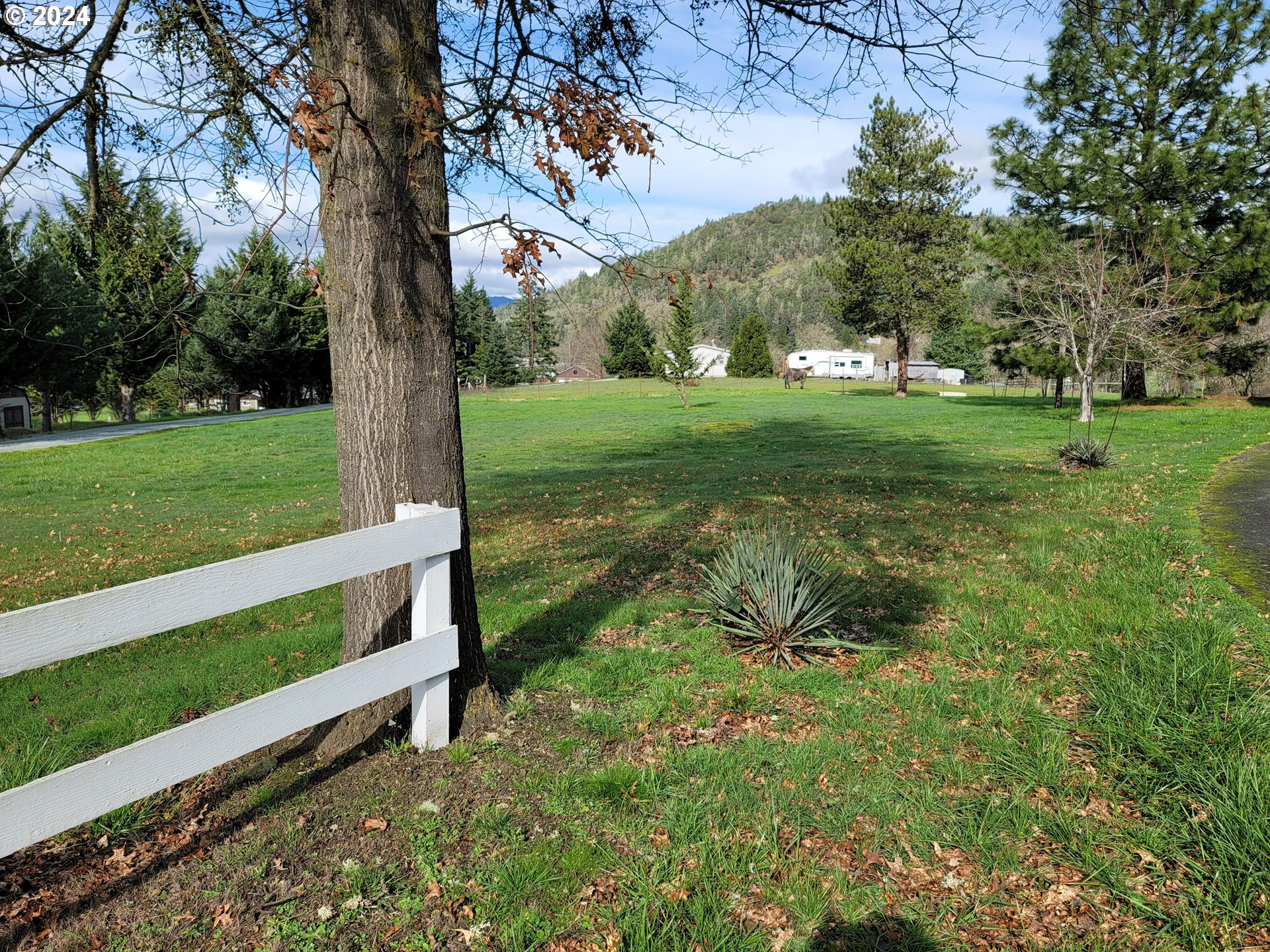 449 Evergreen Ridge Road Riddle, OR 97469 - Photo 19 of 21 a view of a garden with a tree