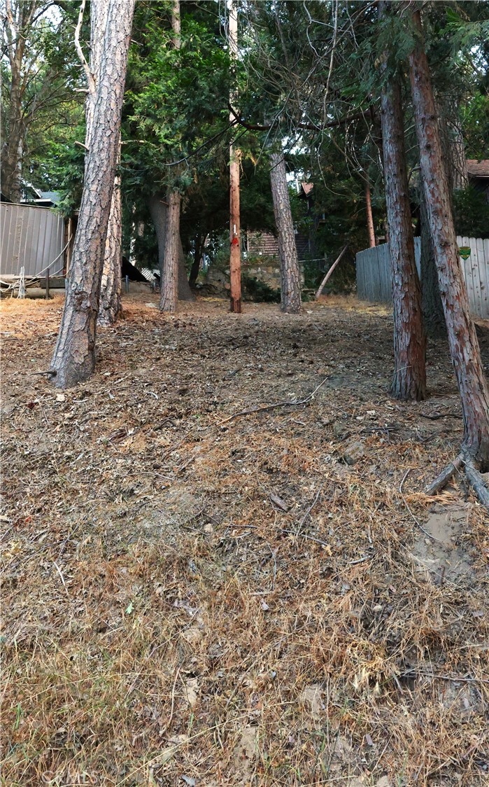 0 Scenic View Drive Crestline, CA 92325 - Photo 2 of 4 a backyard of a house with seating space and trees