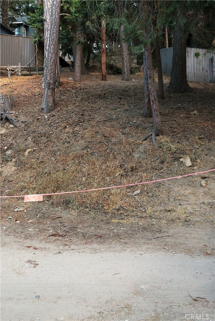 0 Scenic View Drive Crestline, CA 92325 - Photo 4 of 4 a backyard of a house