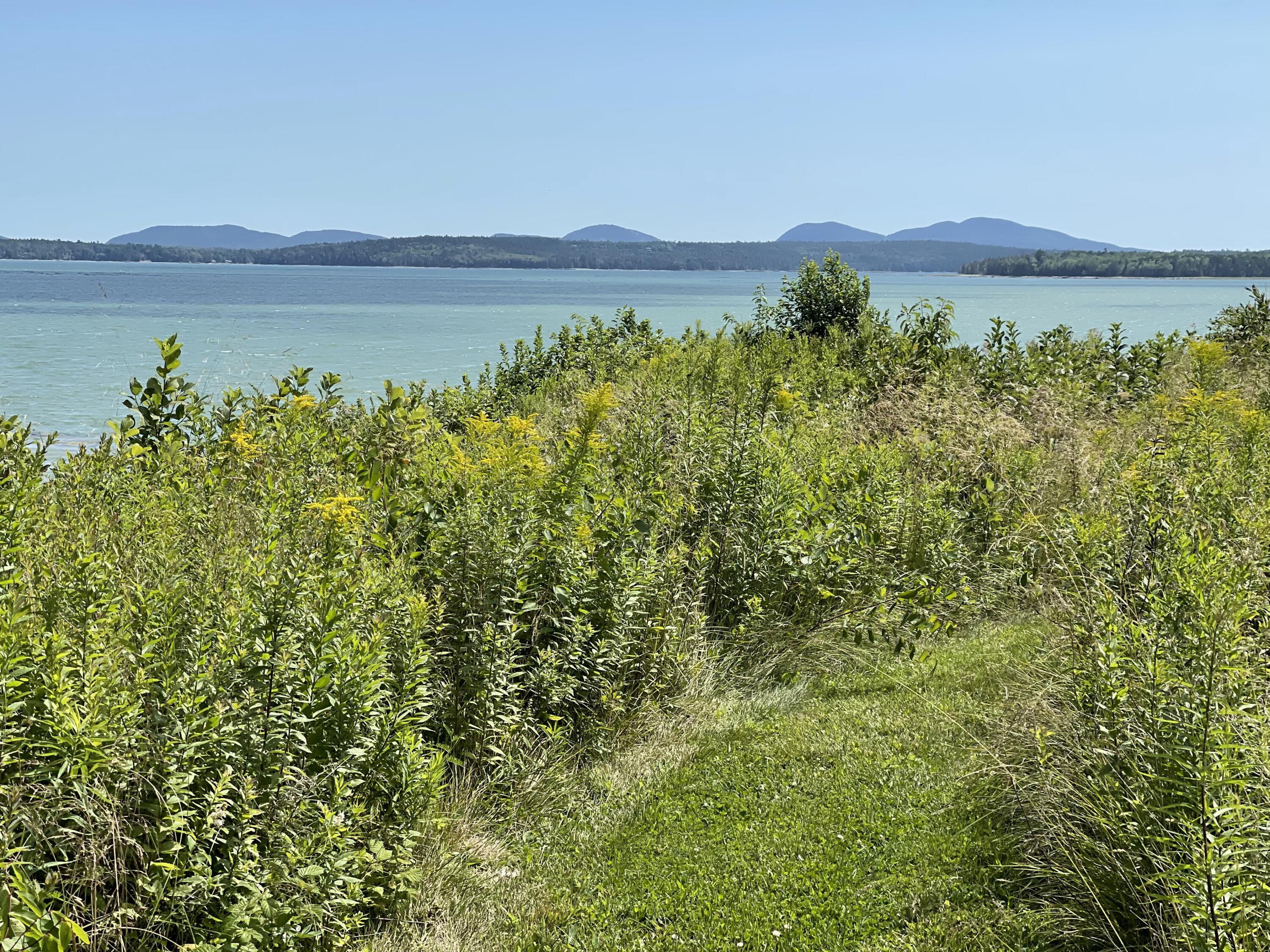 230 Oak Point Road Trenton, ME 04605 - Photo 46 of 59 707259DC-23BA-4010-87A1-7F2595E2252C