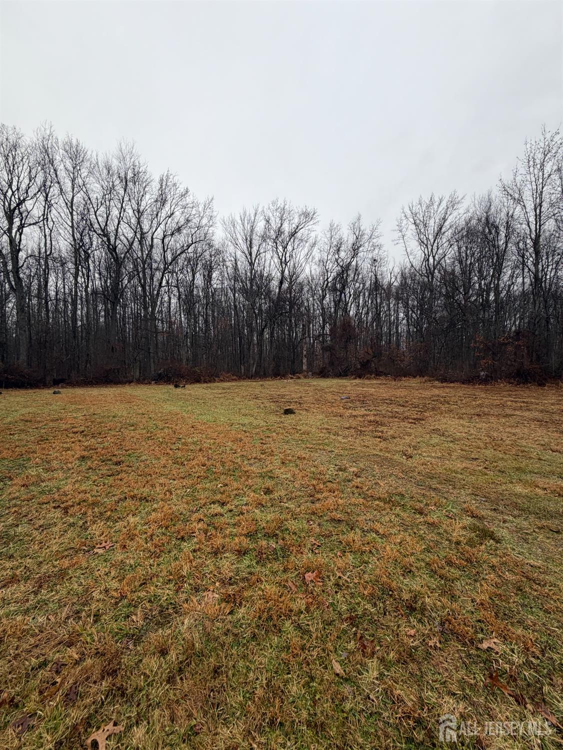 206 Broadway Road Cranbury, NJ 08512 - Photo 3 of 6