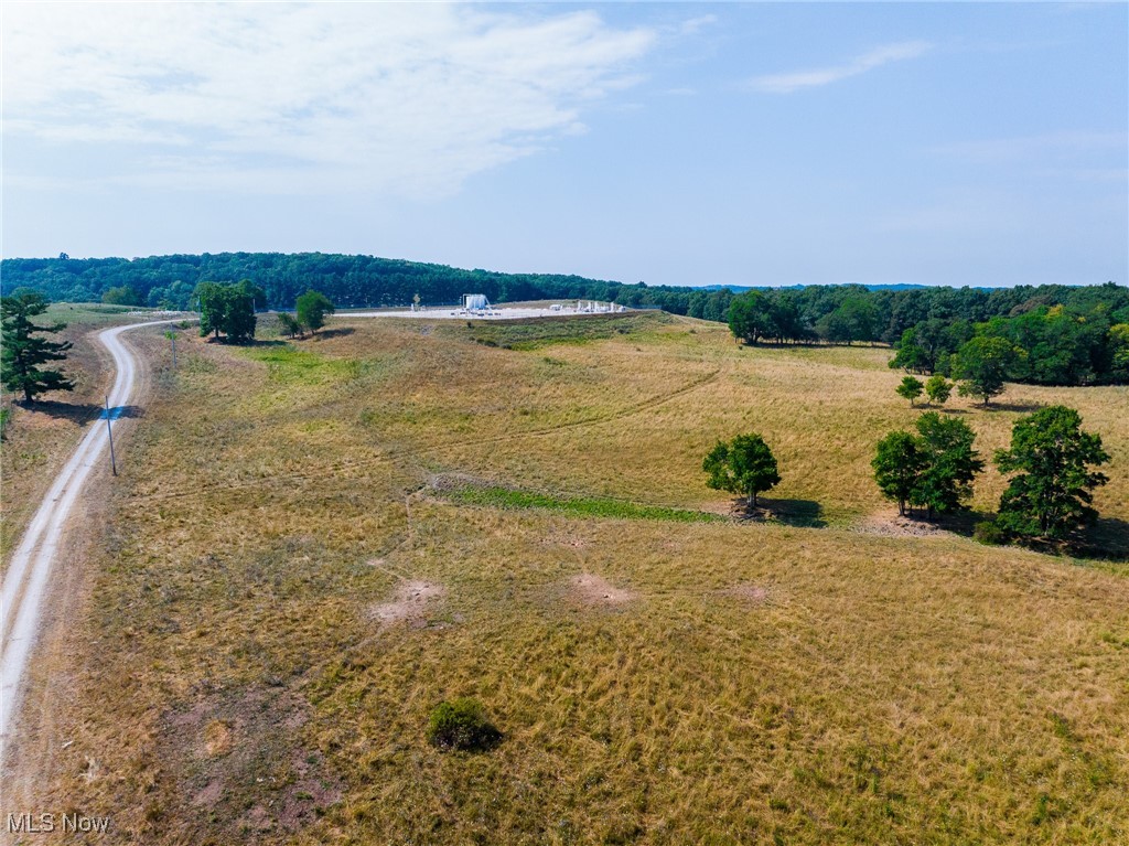 Lewis Road Salineville, OH 43945 - Photo 10 of 14 Overview of rural landscape featuring a forest