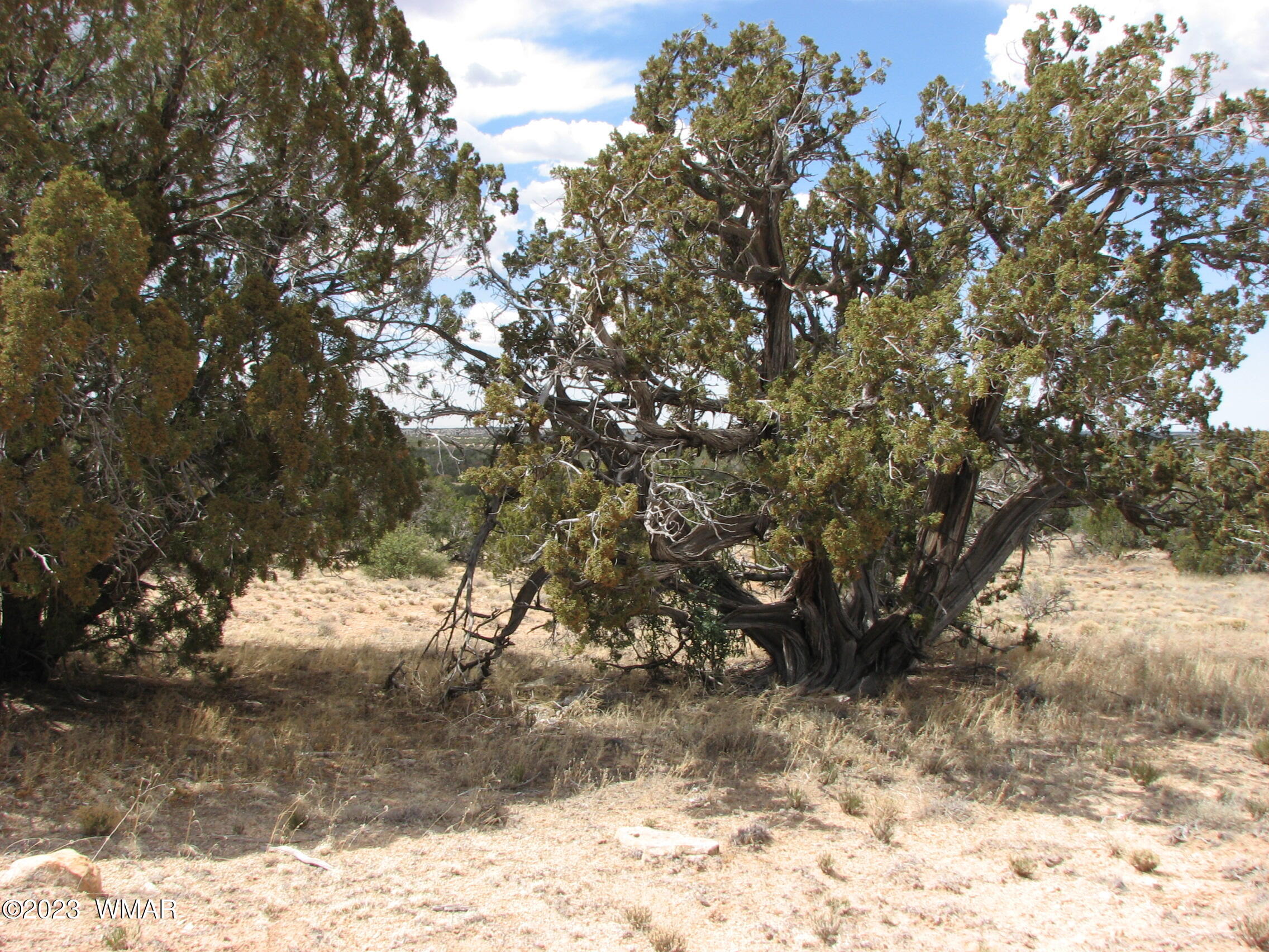 18 T14n R17e Chevelon Retreat Heber, AZ 85928 - Photo 2 of 7