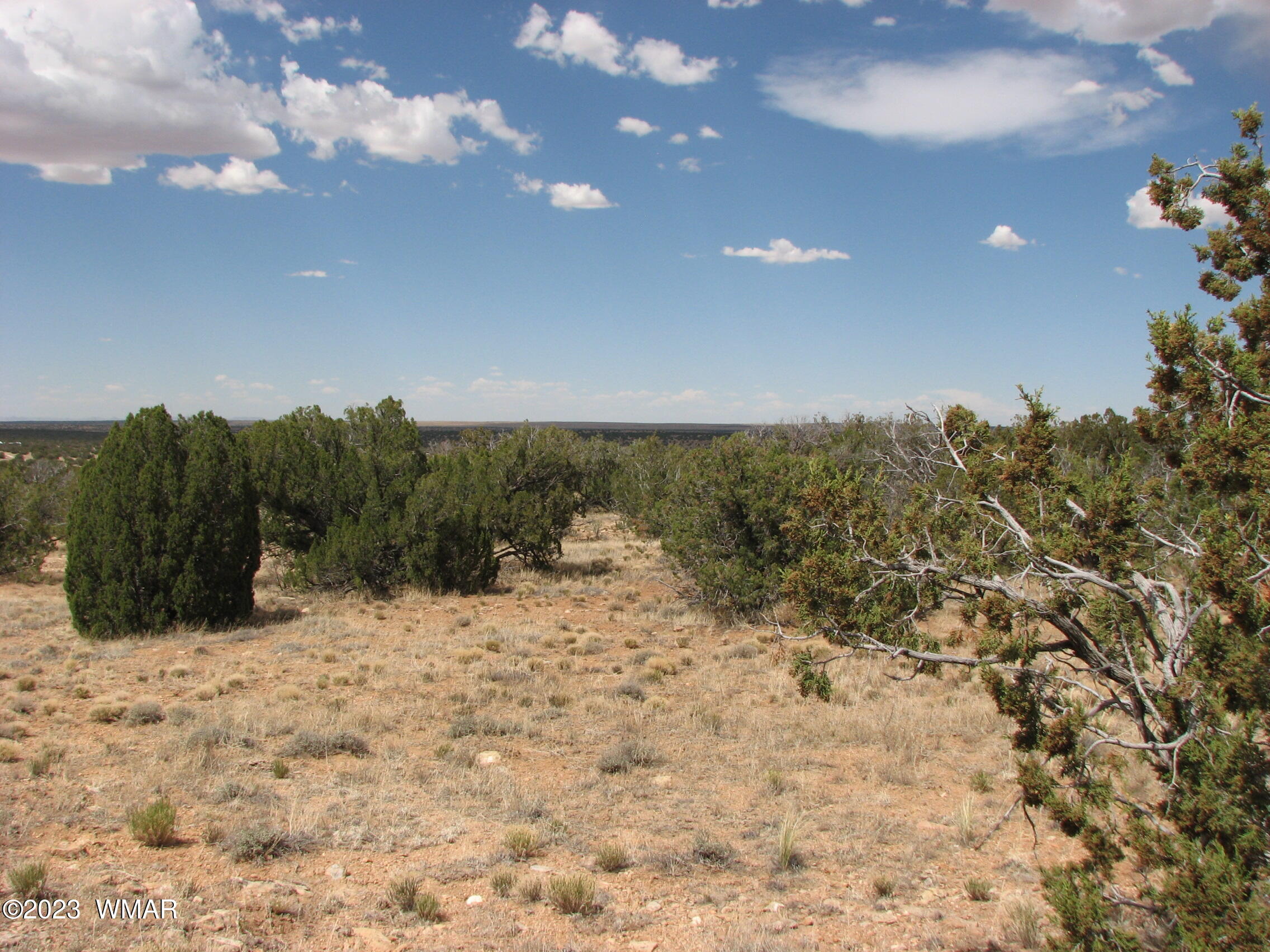 18 T14n R17e Chevelon Retreat Heber, AZ 85928 - Photo 3 of 7