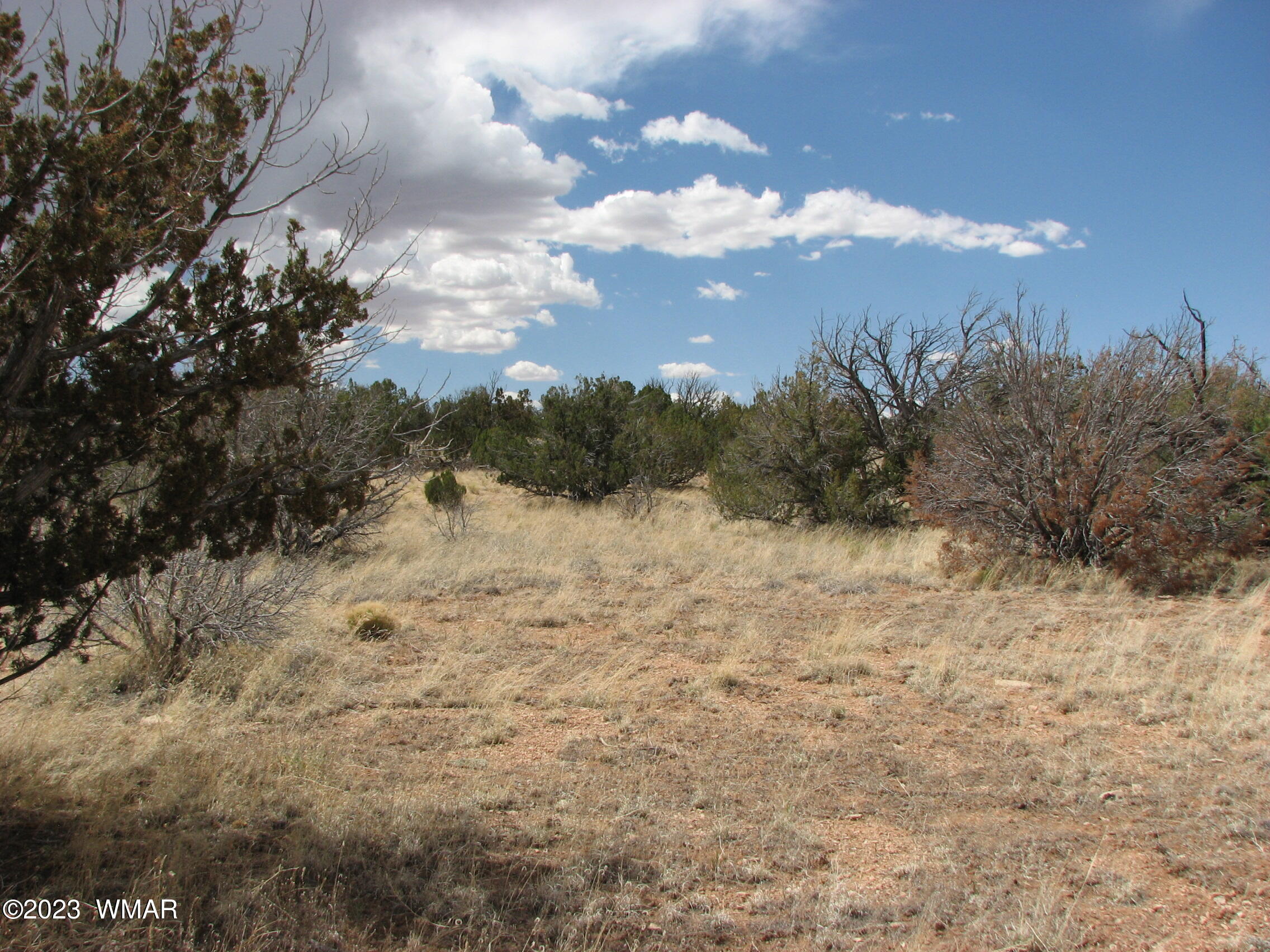 18 T14n R17e Chevelon Retreat Heber, AZ 85928 - Photo 4 of 7