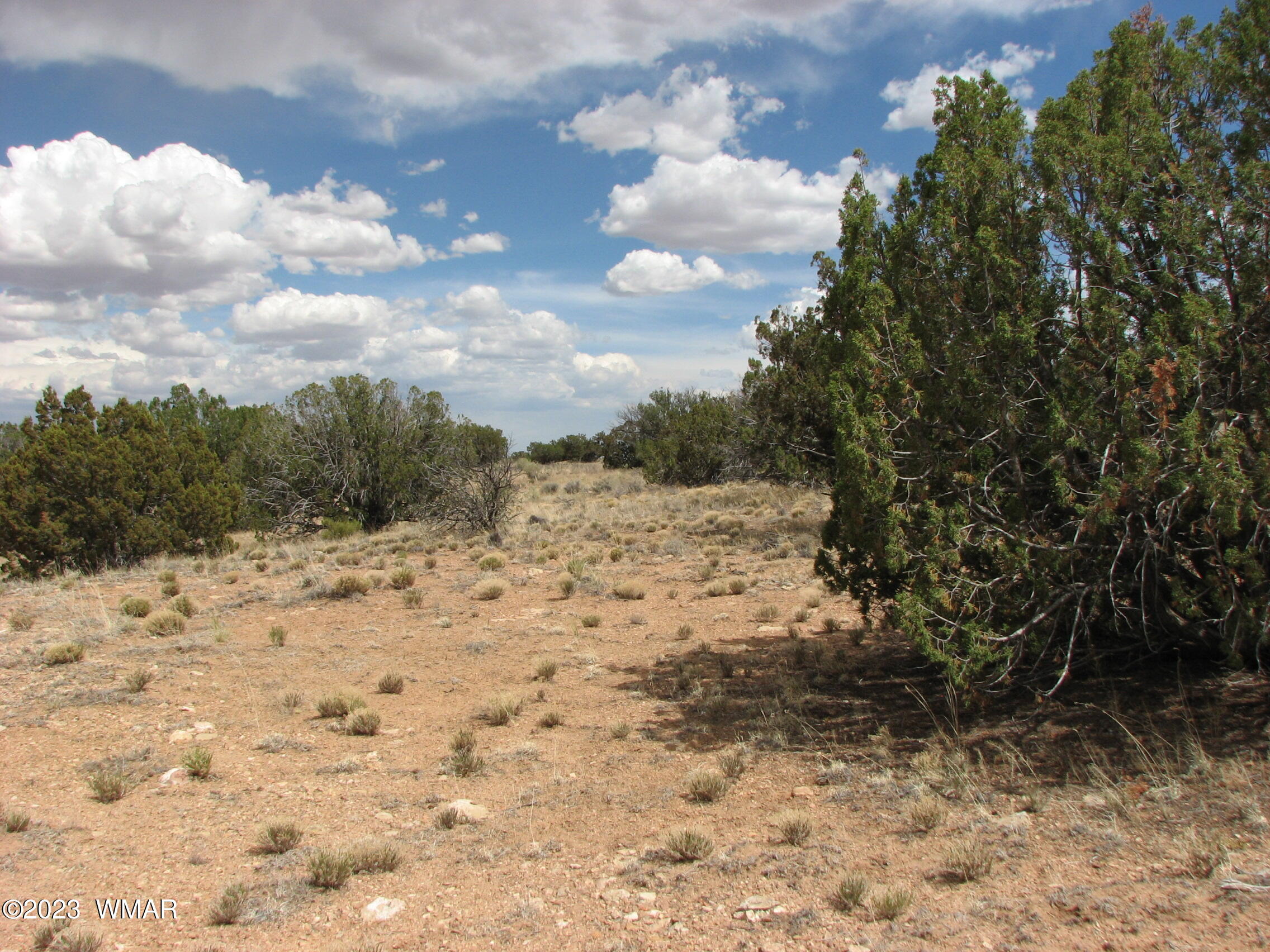 18 T14n R17e Chevelon Retreat Heber, AZ 85928 - Photo 5 of 7