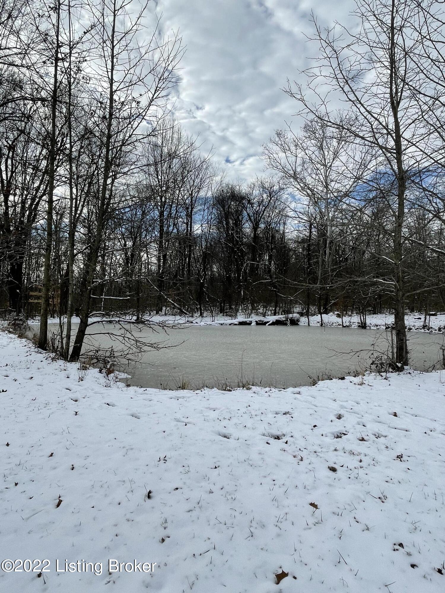 8208 3rd Street Road Louisville, KY 40214 - Photo 16 of 75 nice size pond