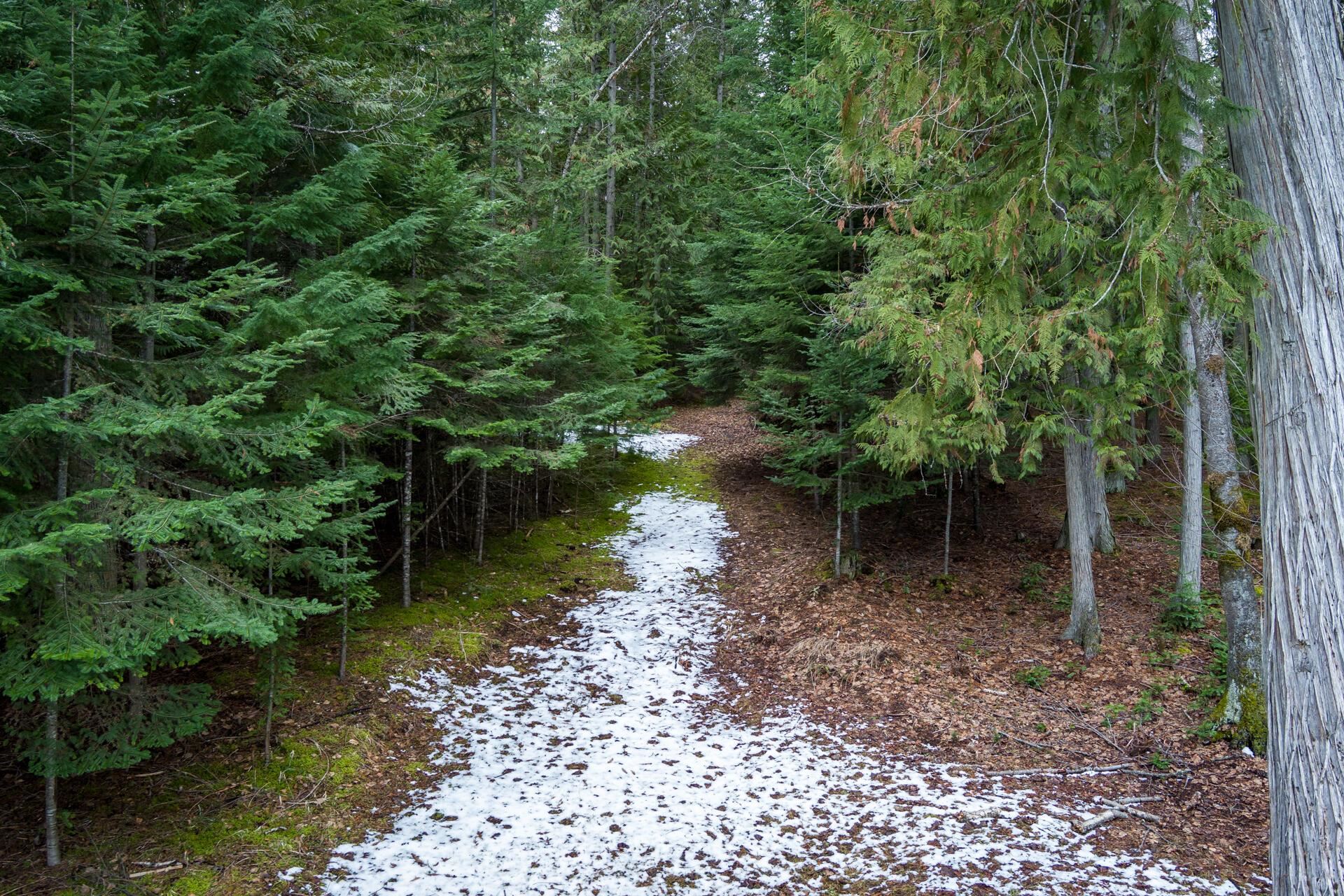 1212 Morning Star Mountain Road Ione, WA 99139 - Photo 35 of 41 Gallery Image 35