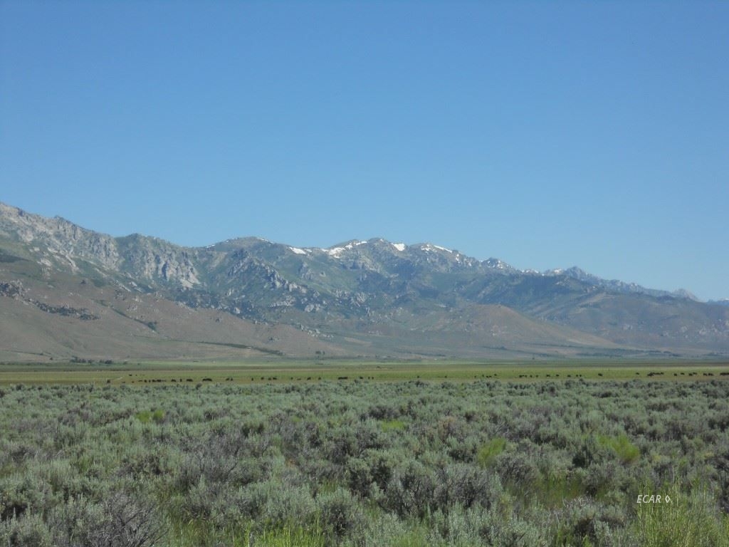 Wright Rd Road Ruby Valley, NV 89833 - Photo 1 of 4