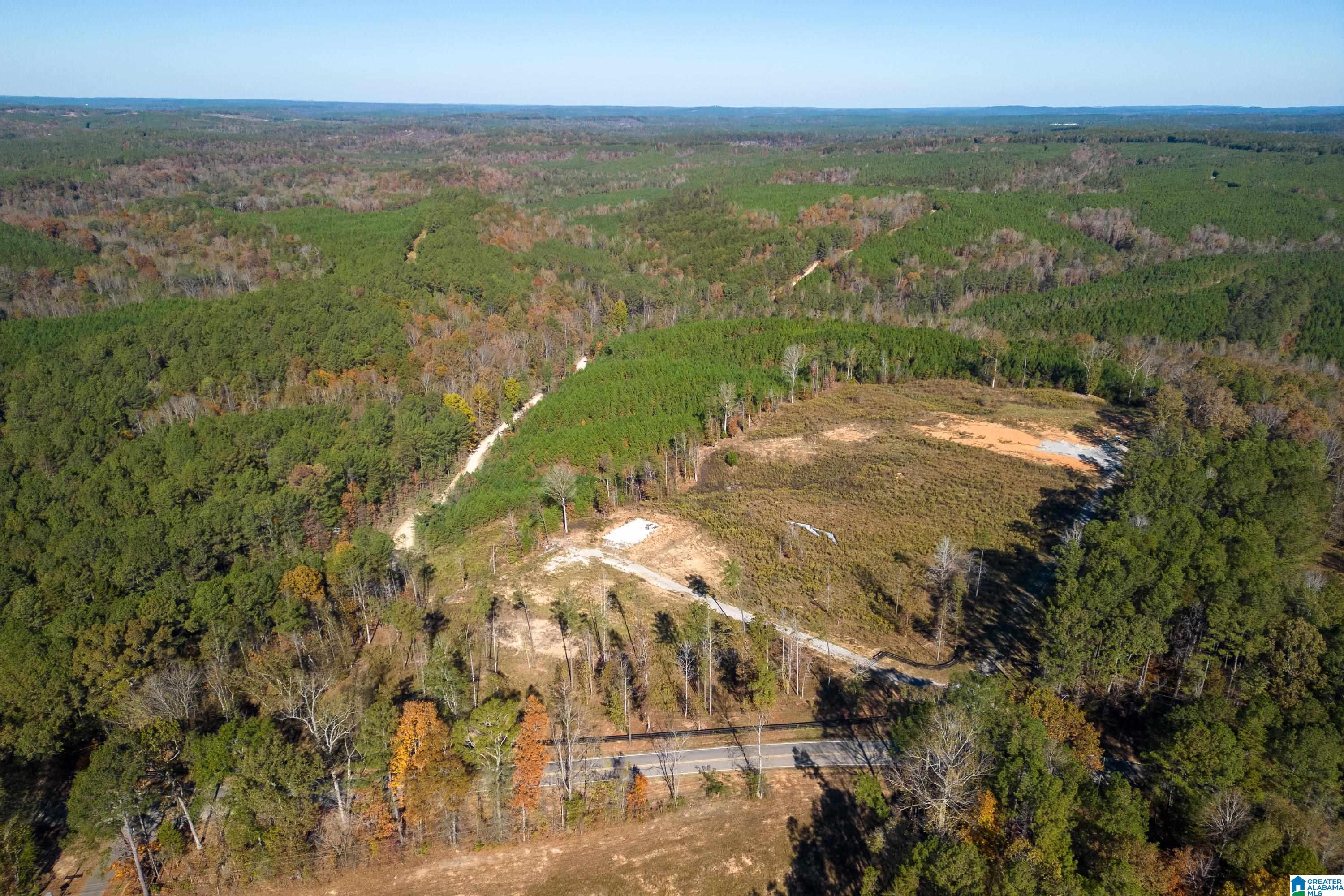 9835 Camp Oliver Road, Unit 1 Adger, AL 35006 - Photo 5 of 18