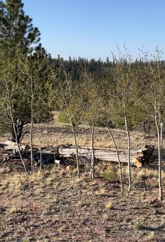 12 Loon Lane Como, CO 80432 - Photo 21 of 31
