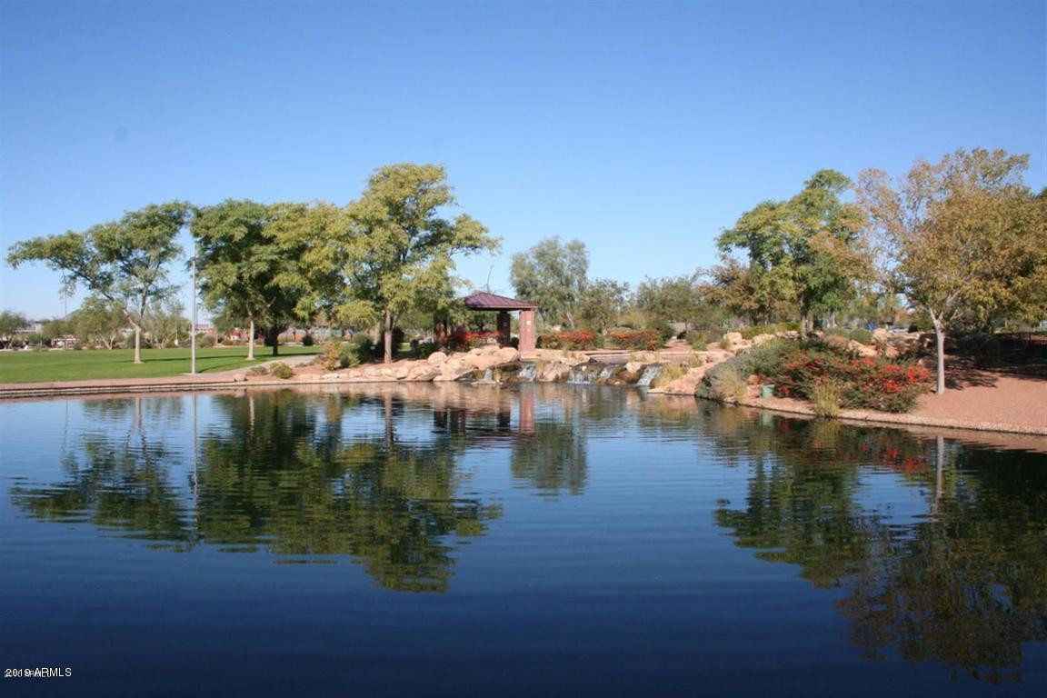 2582 West Kit Carson Trail Phoenix, AZ 85086 - Photo 22 of 30 Photo #22