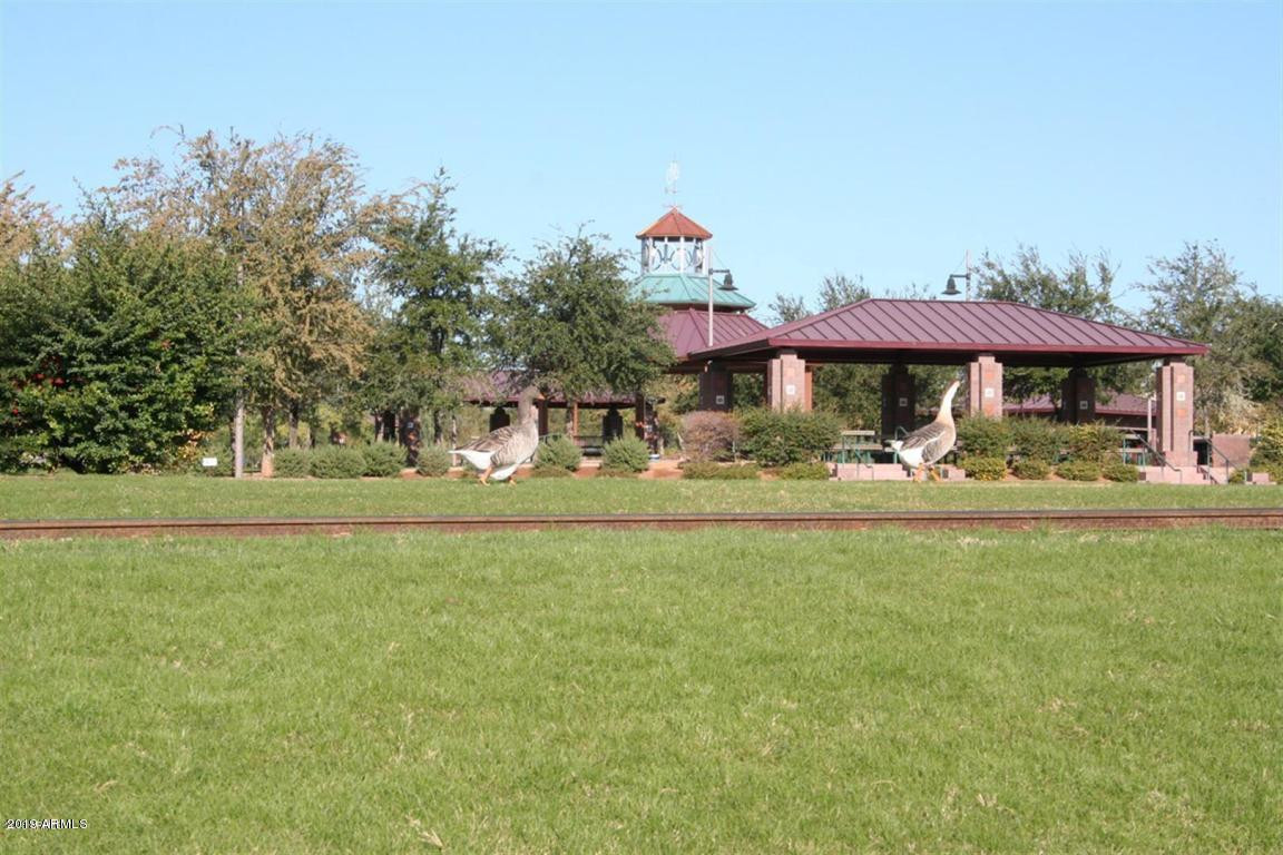 2582 West Kit Carson Trail Phoenix, AZ 85086 - Photo 24 of 30 Photo #24