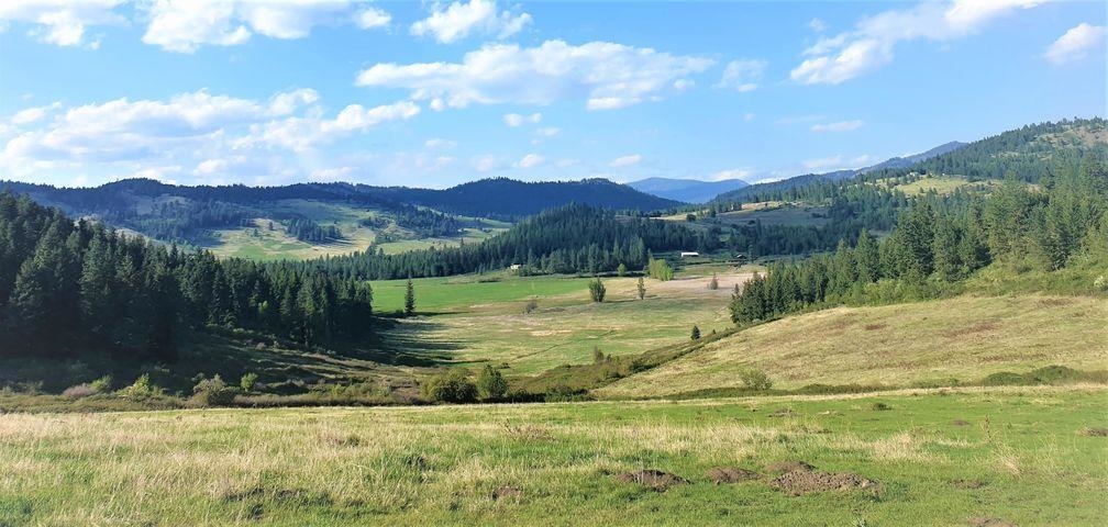 3393 Beck Road Rice, WA 99167 - Photo 1 of 19