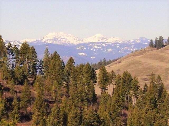 3393 Beck Road Rice, WA 99167 - Photo 12 of 19