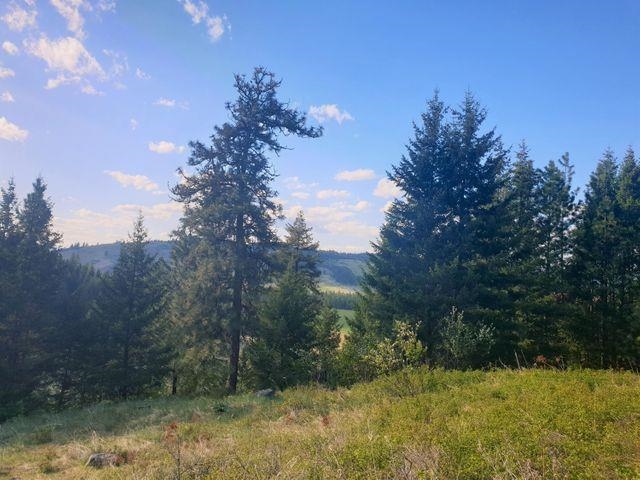 3393 Beck Road Rice, WA 99167 - Photo 13 of 19