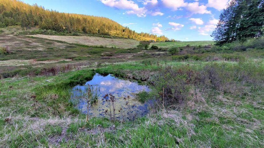 3393 Beck Road Rice, WA 99167 - Photo 14 of 19