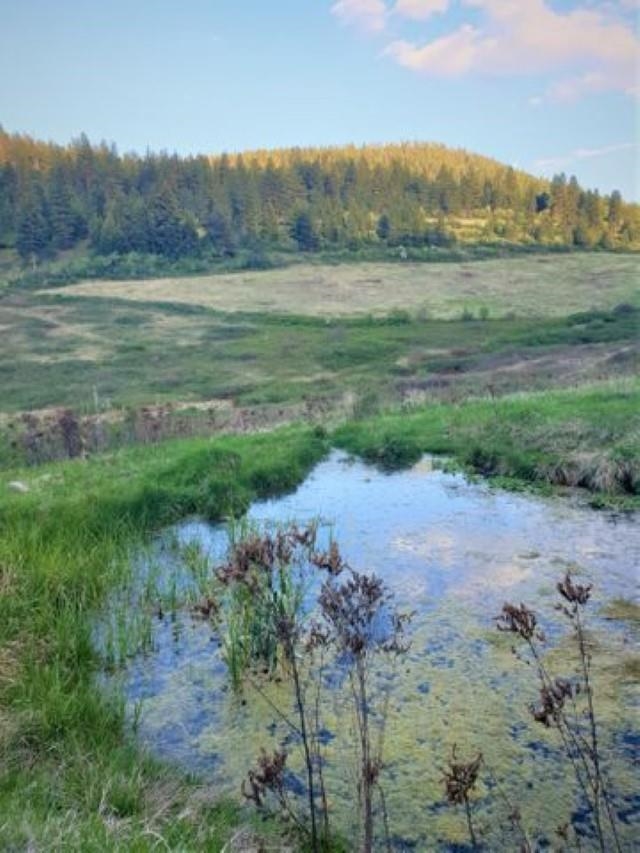 3393 Beck Road Rice, WA 99167 - Photo 16 of 19
