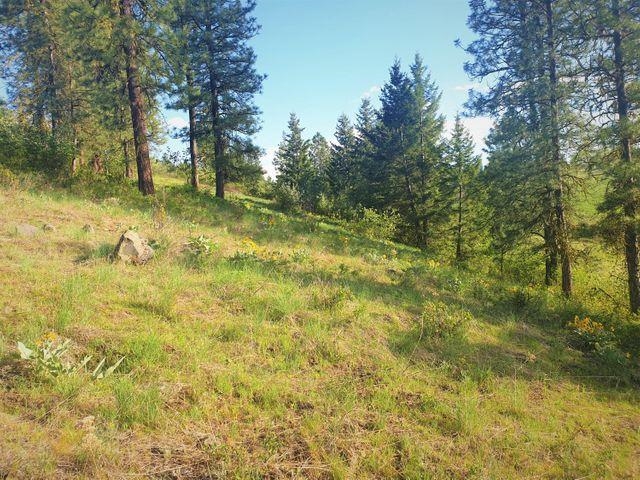 3393 Beck Road Rice, WA 99167 - Photo 19 of 19