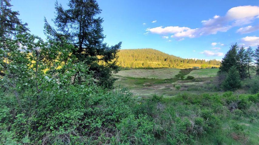 3393 Beck Road Rice, WA 99167 - Photo 3 of 19