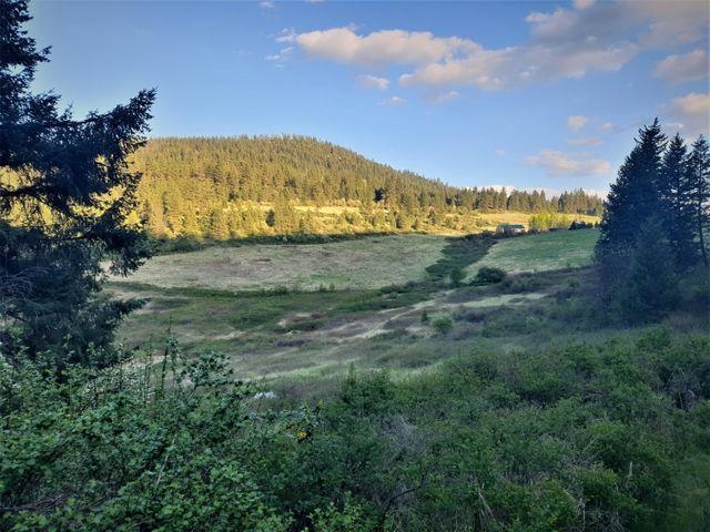3393 Beck Road Rice, WA 99167 - Photo 5 of 19