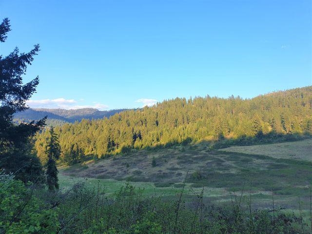 3393 Beck Road Rice, WA 99167 - Photo 7 of 19