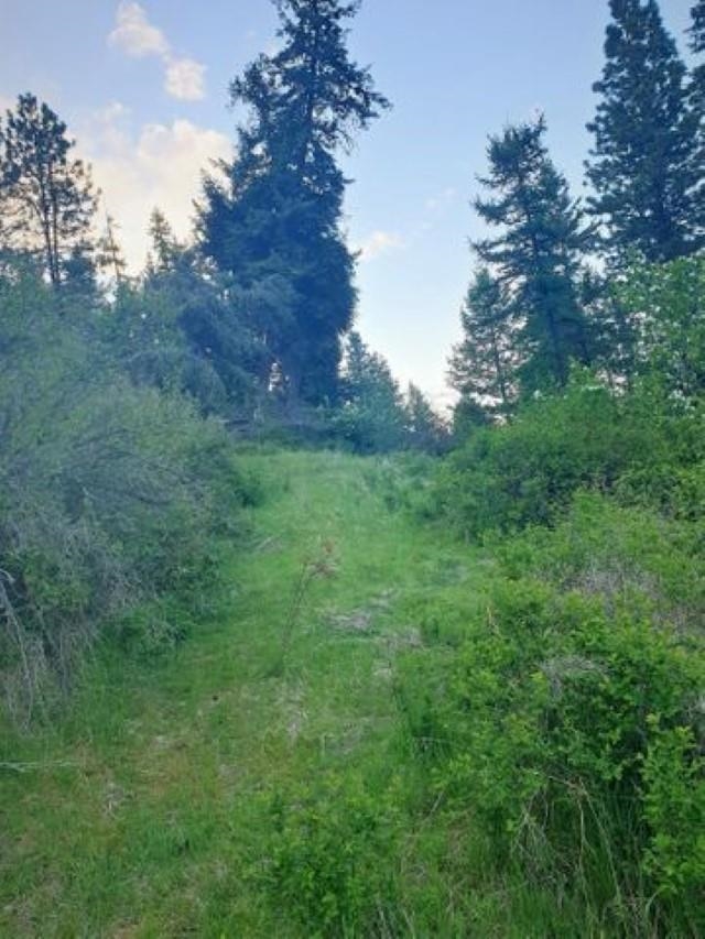 3393 Beck Road Rice, WA 99167 - Photo 8 of 19
