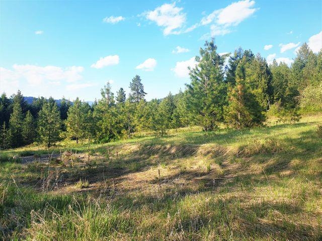 3393 Beck Road Rice, WA 99167 - Photo 9 of 19