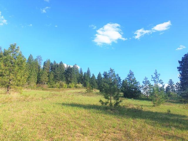 3393 Beck Road Rice, WA 99167 - Photo 10 of 19