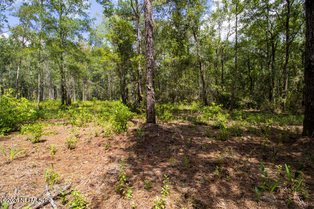 4410 Lori Loop Road Keystone Heights, FL 32656 - Photo 4 of 12 Keystone -05