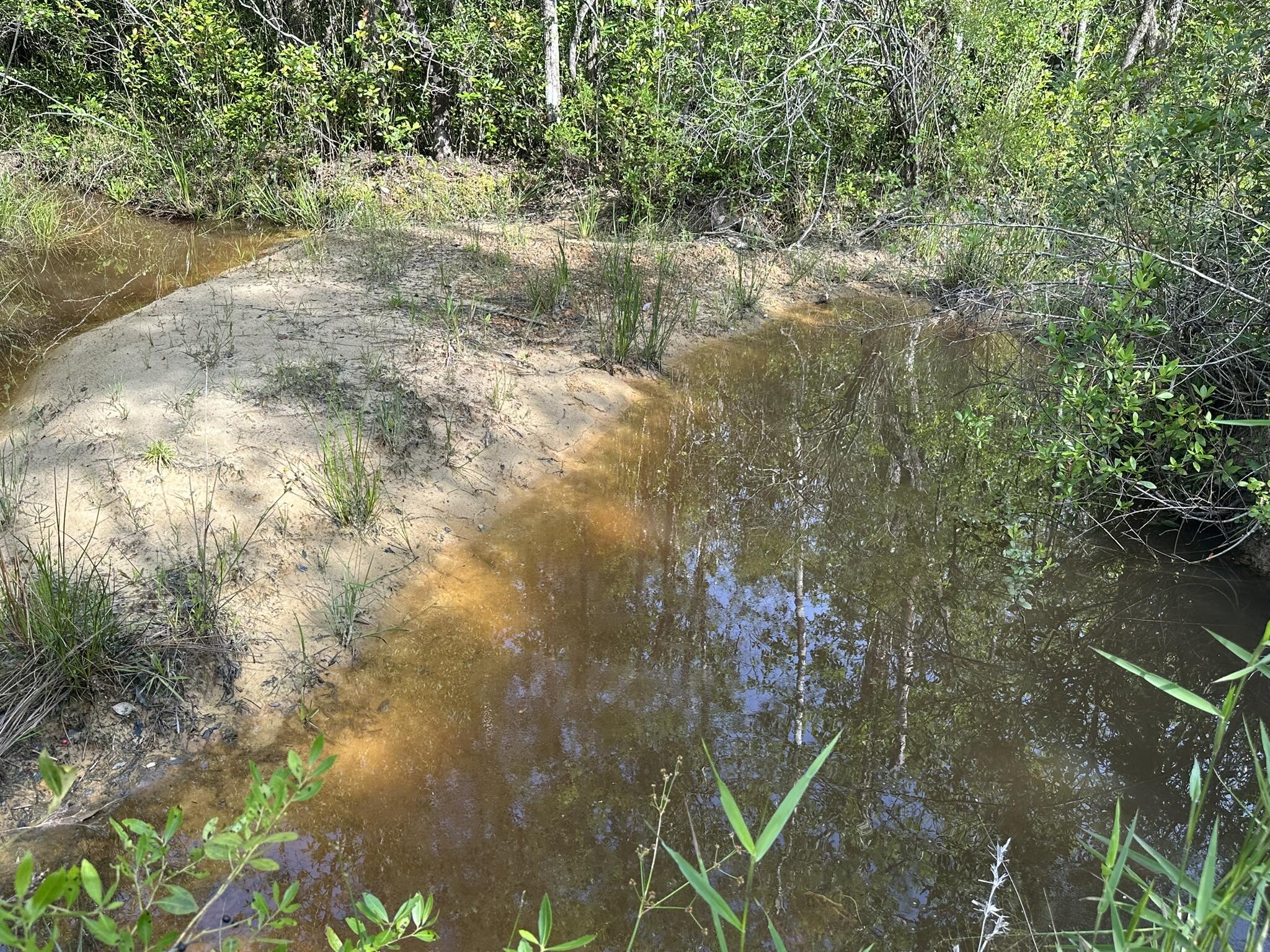 80-ac Old River Road Baker, FL 32531 - Photo 15 of 52 a view of a lake with a tree