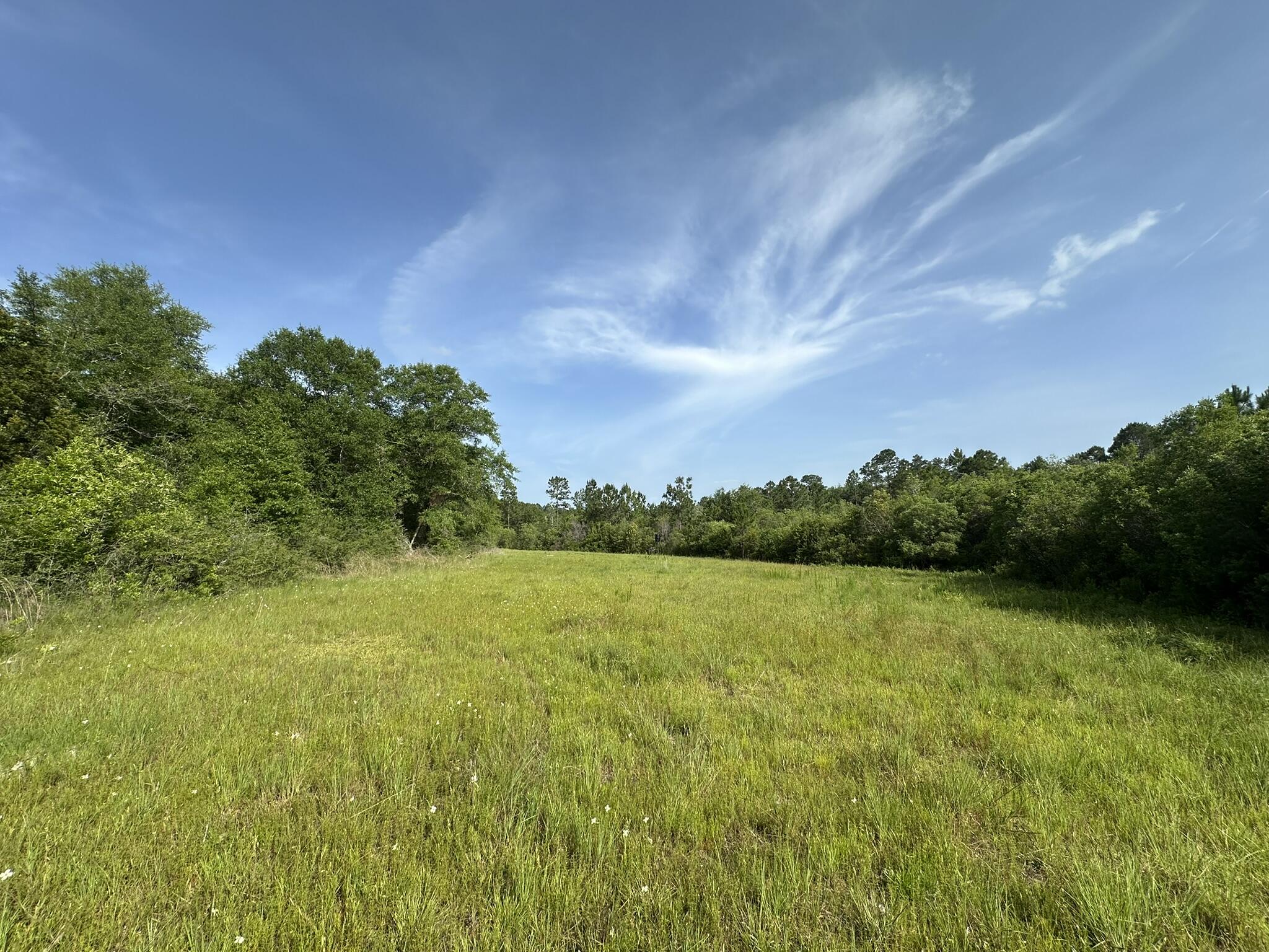 80-ac Old River Road Baker, FL 32531 - Photo 21 of 52 a view of a lake with a yard