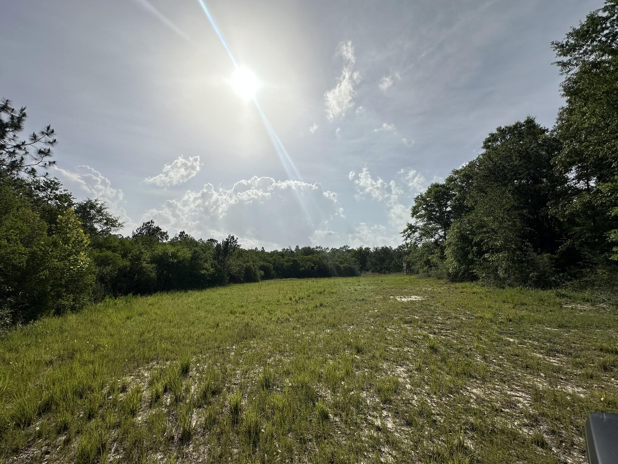 80-ac Old River Road Baker, FL 32531 - Photo 23 of 52 a view of a golf course with a lake