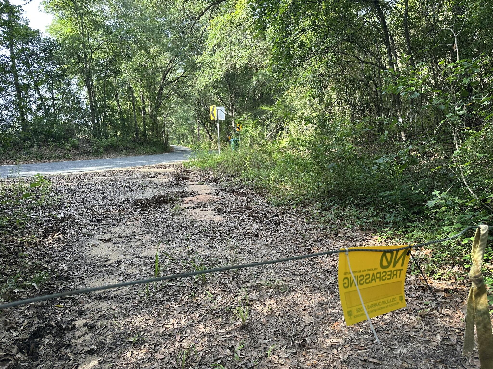 80-ac Old River Road Baker, FL 32531 - Photo 25 of 52 a view of a yard with a trees