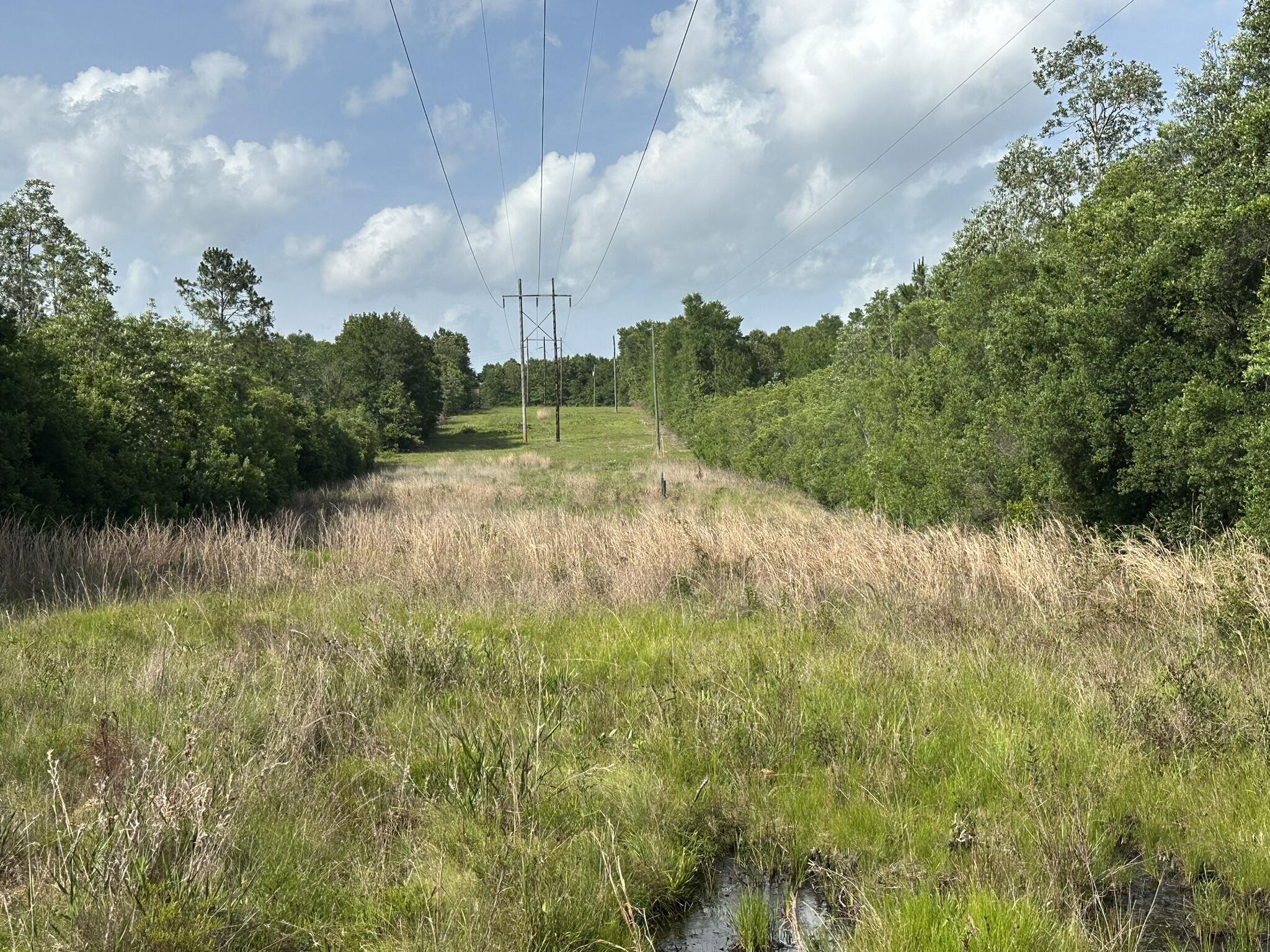 80-ac Old River Road Baker, FL 32531 - Photo 3 of 52 a view of a lake view