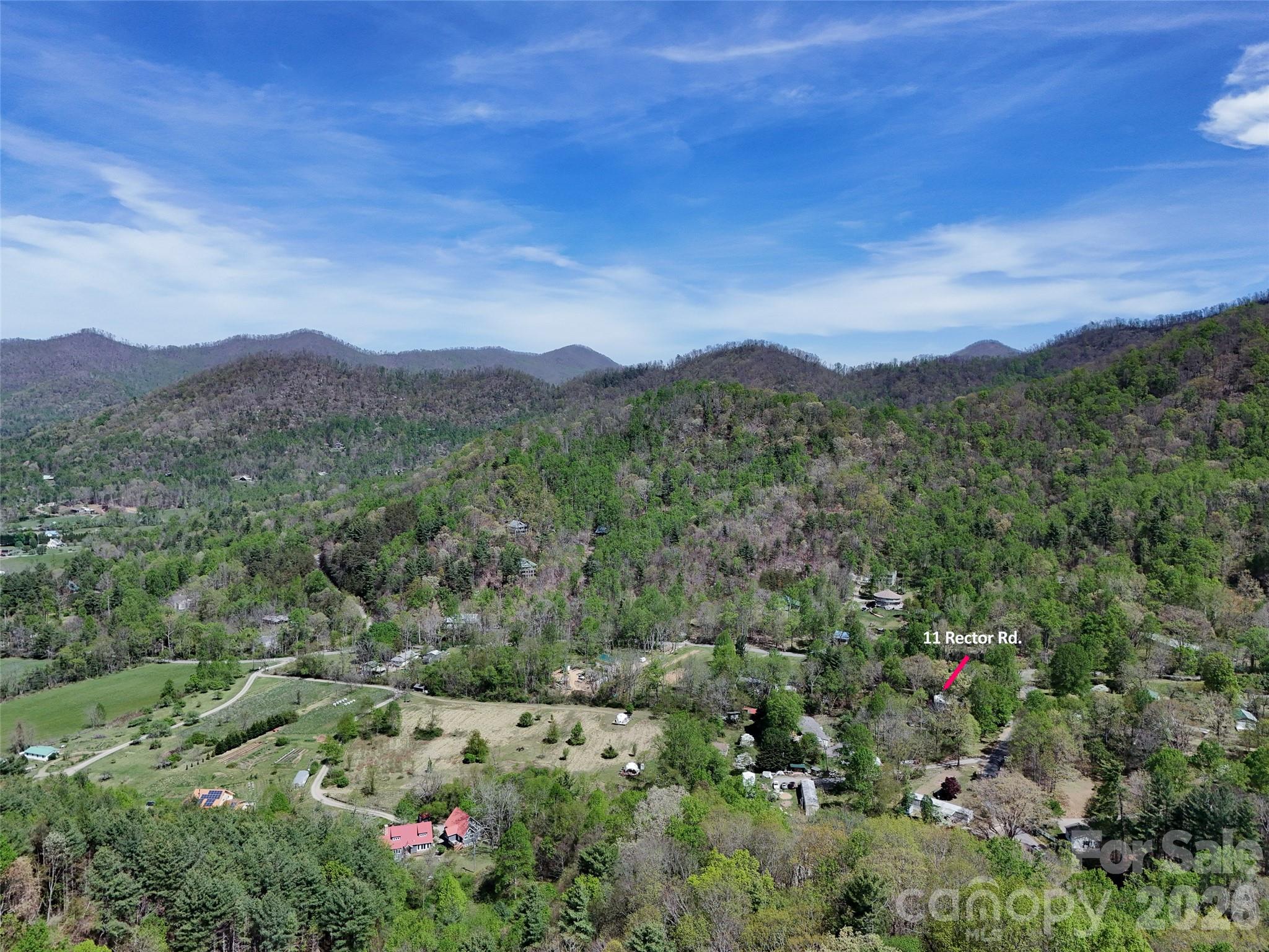 11 Rector Road Weaverville, NC 28787 - Photo 5 of 36