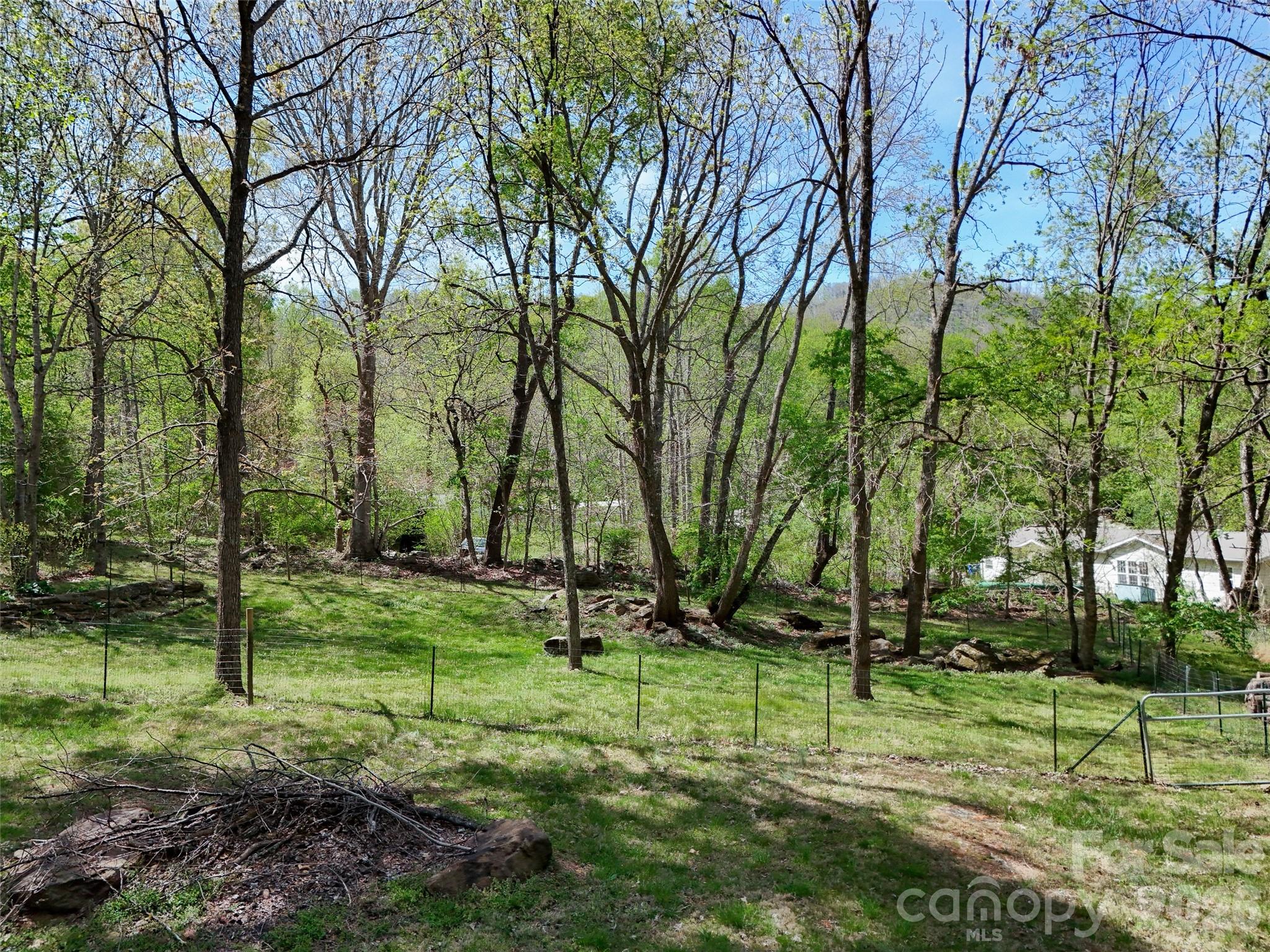 11 Rector Road Weaverville, NC 28787 - Photo 8 of 36