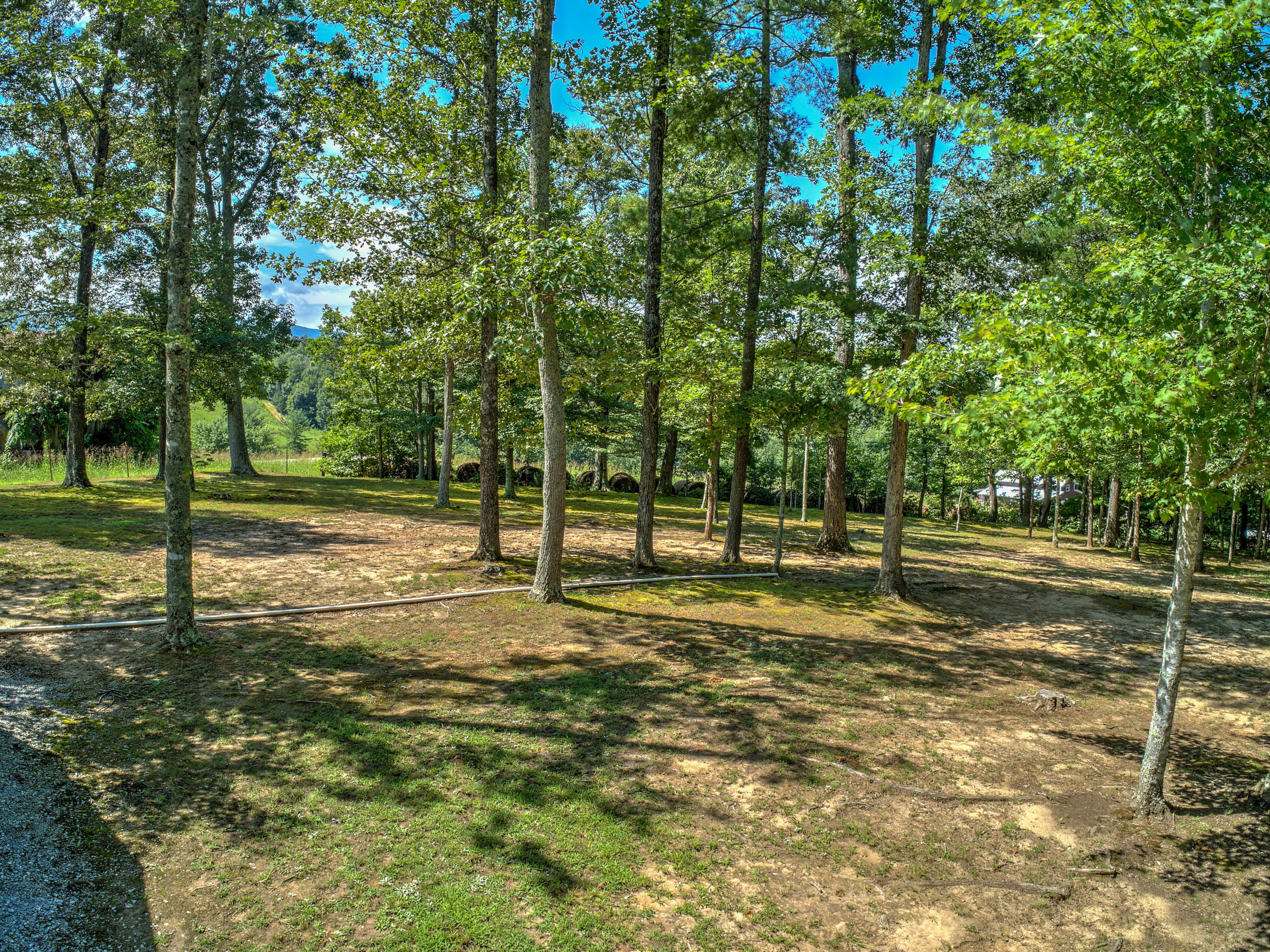 875 Frank Roberts Road Afton, TN 37616 - Photo 29 of 35 875 Frank Roberts Rd-38