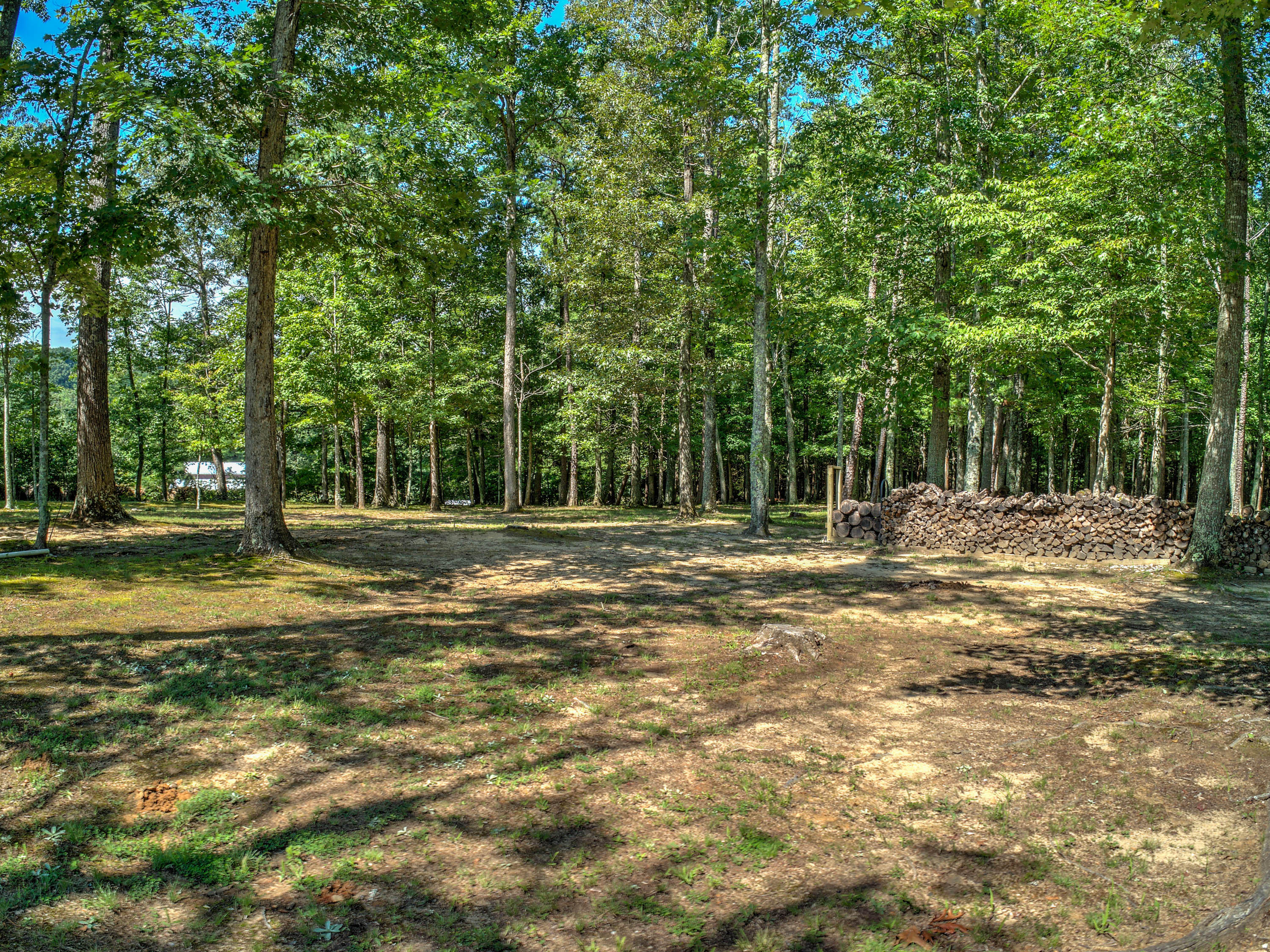 875 Frank Roberts Road Afton, TN 37616 - Photo 30 of 35 875 Frank Roberts Rd-39