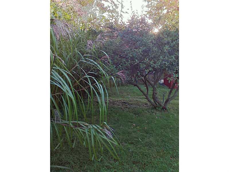 1023 East Main Road Portsmouth, RI 02871 - Photo 4 of 25 Yard/Garden.