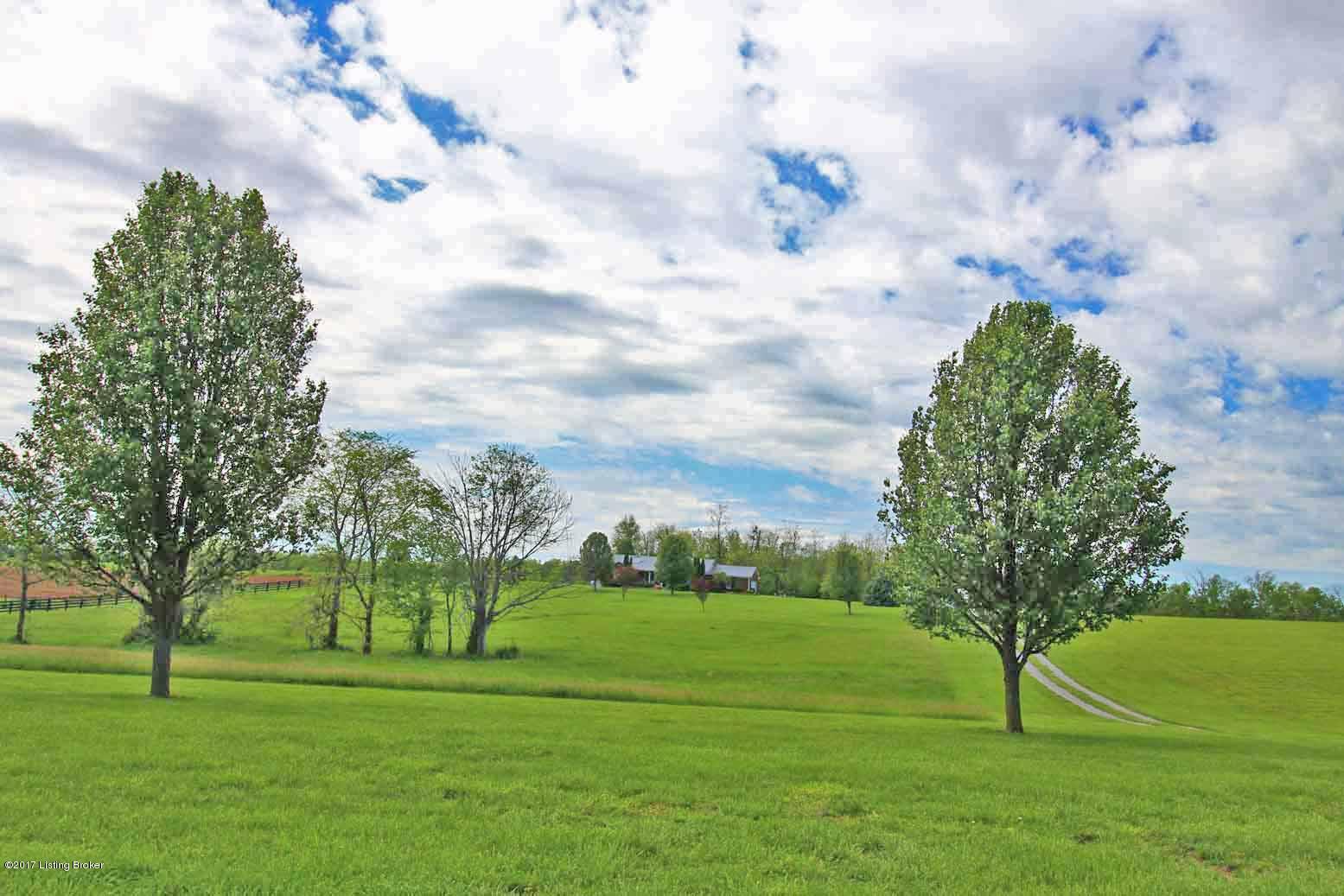 411 Hill Spring Road Eminence, KY 40019 - Photo 2 of 44 View of Property