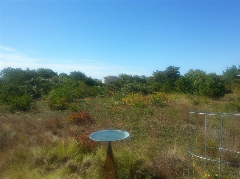 10 Turnstone Road Truro, MA 02666 - Photo 29 of 29 a view of a outdoor space