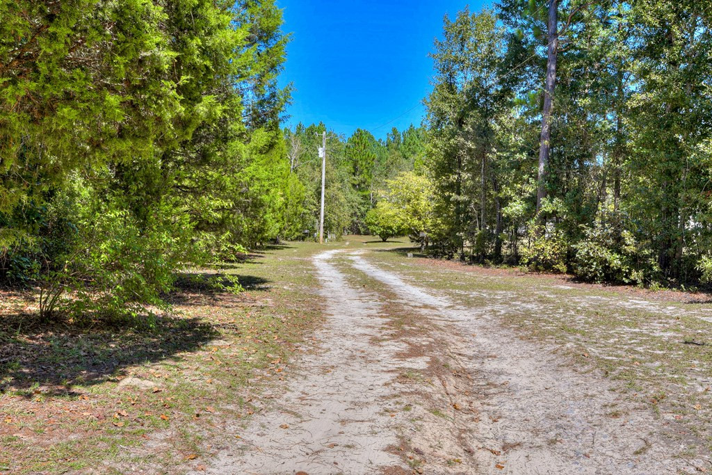 325 Nickeltop Road Windsor, SC 29856 - Photo 39 of 39