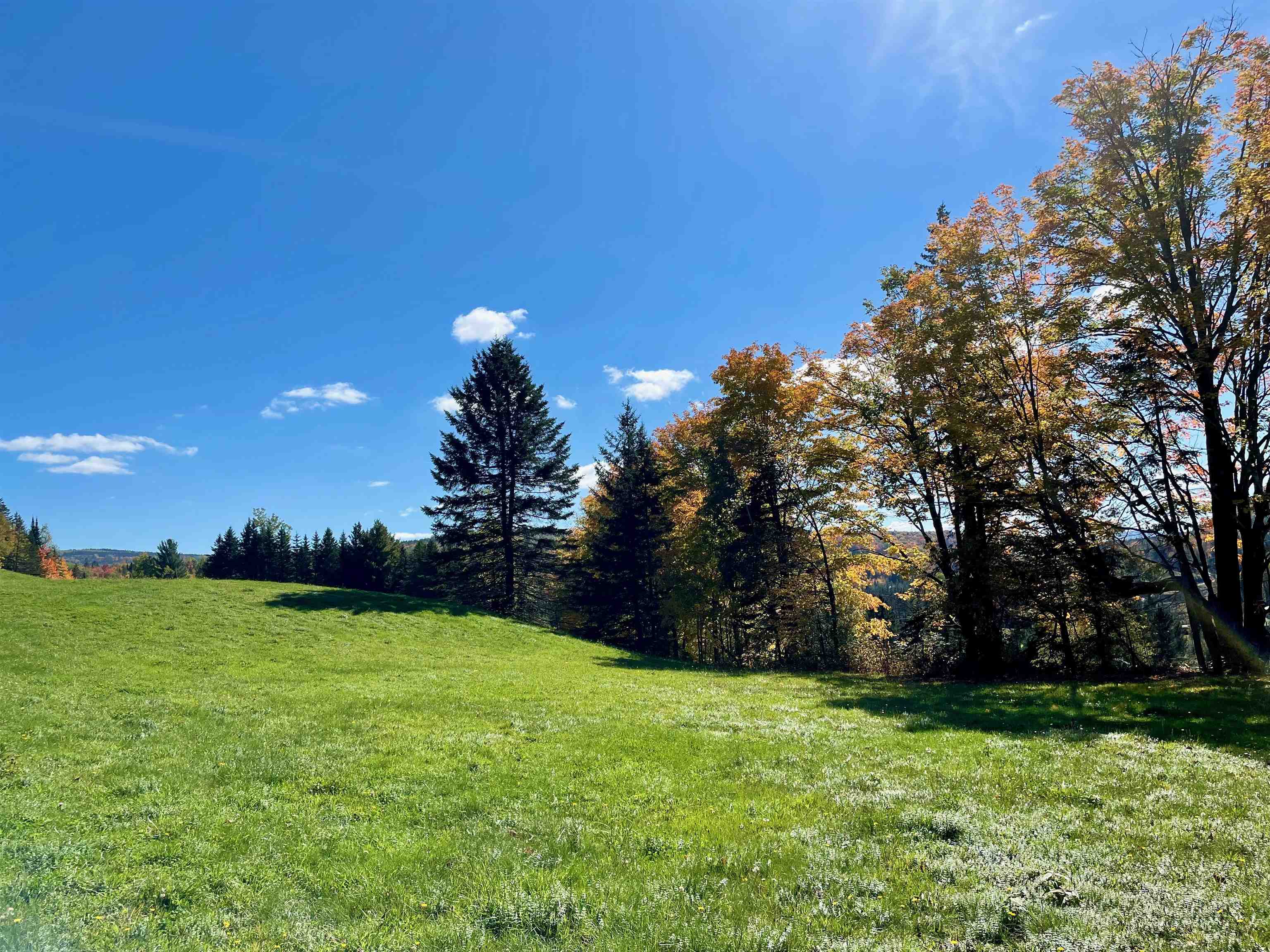 Lot 1 Hollow Road Stewartstown, NH 03576 - Photo 3 of 18 Gallery Image 3
